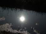 Inseln R�gen und Hiddensee Die Sonne spiegelt sich in diesem kleinen B�chlein.