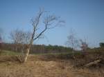Inseln R�gen und Hiddensee Endlich ist der Fr�hling da auch auf R�gen zeigt sich seit Tagen die Sonne wieder verst�rkt und l�dt wieder zu Spazierg�ngen ein.