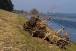 Oderbruch, Lebuser Land M�rz 2010, an der Oder.