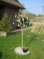 Bl�ten- und Kleinpflanzen Osterbaum als Ostergru� f�r alle User