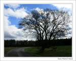 Hunsr�ck (10 Fotos)