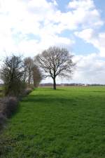 Weide am Niederrhein, bei ...  Andreas Strobel 15.04.2010