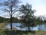 Landschaft an der L�cknitz, ...  Manfred Hellmann 07.05.2010