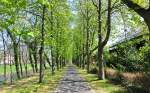  Fu�g�nger-Allee  an der Ahr ...  Rolf Reinhardt 11.05.2010