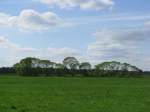 Landschft bei Laave (LG ...  Manfred Hellmann 14.05.2010