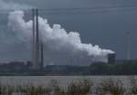 Blick �ber den Rhein ...  Martin Kramer 26.06.2007