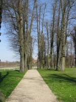 Schwerin (16 Fotos)