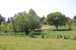 Weide bei J�chen Aldenhoven. ...  Andreas Strobel 16.06.2010