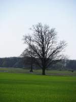 LG; B 195, Landschaft ...  Manfred Hellmann 29.06.2010