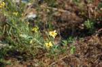 Wo einst G�ter von ...  Andreas Strobel 05.07.2010