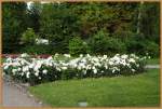 Bilder von ...  Thomas Flebbe 26.07.2010