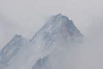 Schreckhorn (4'078 ...  Joachim Kohler 29.07.2010