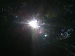 Sonnenstrahlen durchleuchten die Bäume. ... Sonnenstrahlen durchleuchten die Bäume. ...