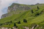 Der Sch�fler (1'924 m) ...  Joachim Kohler 17.10.2010