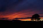 Hier ein Wundersch�ner Sonnenuntergang in Thalmassing  ...