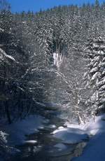 Schwarzwassertal bei Schmalzgrube, 30.12.10   ...