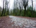 Kopfsteinpflaster in ehem. S�ltingen, ...  Oxfordian Kissuth 08.02.2011