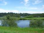 Auenlandschaft an der Elbe ...  p.h. 30.07.2007