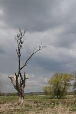 >>Tod und Leben unter dem Firmament des Fr�hlings<<
Moosburg-Au, 14.04.2011 EDIT ...