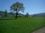 Blick ins Glottertal im Schwarzwald, M�rz 2011  ...