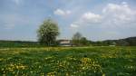 29.04.2011 Fr�hling in Neudeck/Kreis ...  Thomas Ritter 30.04.2011
