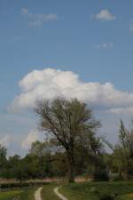 W�hrend sich ringsum schon die L�wenz�hne im Fr�hlingswind recken, l�sst ...