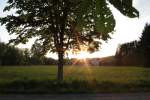 Sonnenaufgang in Nunkirchen/Saarland. Aufnahme ...  Fred Hahn 16.06.2011