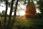 Sonnenaufgang in Nunkirchen/Saarland. Aufnahme ...  Fred Hahn 16.06.2011