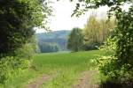 Sonniger Nachmittag im Wald ...  Fred Hahn 18.06.2011