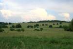 entlang der ehemaligen deutsch-deutschen Grenze Langsam erobert sich die Natur den Grenzstreifen zwischen DDR und BRD zur�ck. (bei Posseck, 10.05.07)