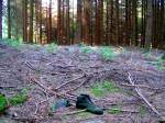 Innviertel ausgediente Schuhe wurden achtlos im Wald entsorgt, oder ging der Besitzer barfuss weiter; 070805