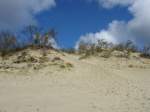Blick in die Wanderd�nen bei Nidden/Nida (Litauen). Die Wanderung vom ...
