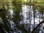 Aufgestaute Ehlbeck, ein naturbelassener ...  Oxfordian Kissuth 20.10.2011