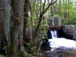 Br�cke und Stauwehr an der Ehlbeck bei Rehlingen, L�neburger Heide. ...