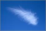 Wolken Diese Federwolke tr�gt ihren Namen in meinen Augen zu Recht. Aufgenommen am 12.08.2007 bei Nordenham.