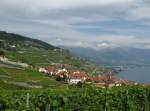Genfer See Blick auf das Weindorf Rivaz am Genfer See.
Kenner entdecken auch noch ganz klein den gelben Train des Vignes.
(14.08.2007)