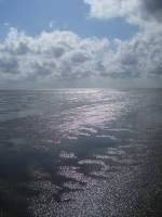 Wattenmeer Im Watt zwischen Neuwerk und Sahlenburg...  28.07.2007