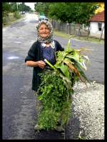 Auf dem Dorf Menschen auf dem Lande... Das Dorf Cebeci in der Region Izmit am Schwarzen Meer in der T�rkei