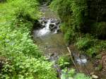Der Grenzbach im Stadtwald von Tengen(01.06.2010).  ...