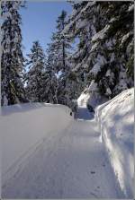 Winterlicher Wanderweg auf dem Predigtstuhl. 16.01.2012  ...