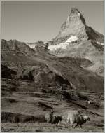 Das Matterhorn (mit Gemecker) 
4. Okt. 2011