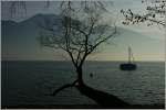 Winterliche Abendstimmung am Lago Maggoire
(23.01.2012)   ...