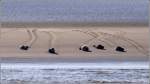 Seehundsbank in der Weserm�ndung ...  Helmut Seger 29.01.2012