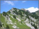 Schynige Platte Auf dem Weg zur Schynige Platte mit der Zahnradbahn: Blick aus dem fenster auf das Bergpanorama. Beim genauen Hinsehen kann man die Bahntrasse erkennen. (Juli 2003)