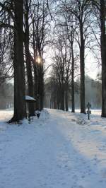 Eine Lindenallee bei Brixlegg.(8.2.2012)   ...