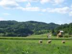 Sotlatal In Kroatien nahe der Grenze zu Slowenien zwischen Podcetrtek (SLO) und Imeno (SLO). Die Spitzen im Vordergrund sind von den B�schen, die die Grenze an einer kleinen Br�cke �ber die Sotla ('Drzavna Cranica', 'Betreten verboten', 'Befahren verboten') s�umen.  5.08.2007