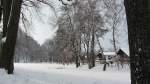 B�ume nahe der B 171 bei Brixlegg.(16.2.2012)  ...