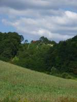 Sotlatal Wein, Wald & Wiese an einer kleinen Stra�e nahe der kroatisch-slowenischen Grenze ca. 5 km s�dlich von Podcetrtek (SLO).  5.08.2007