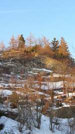 Am 18.2.2012 beschien die rote Abendsonne diesen Hang nahe Brixlegg. ...