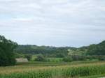 Ein Blick ...  p.h. 25.08.2007